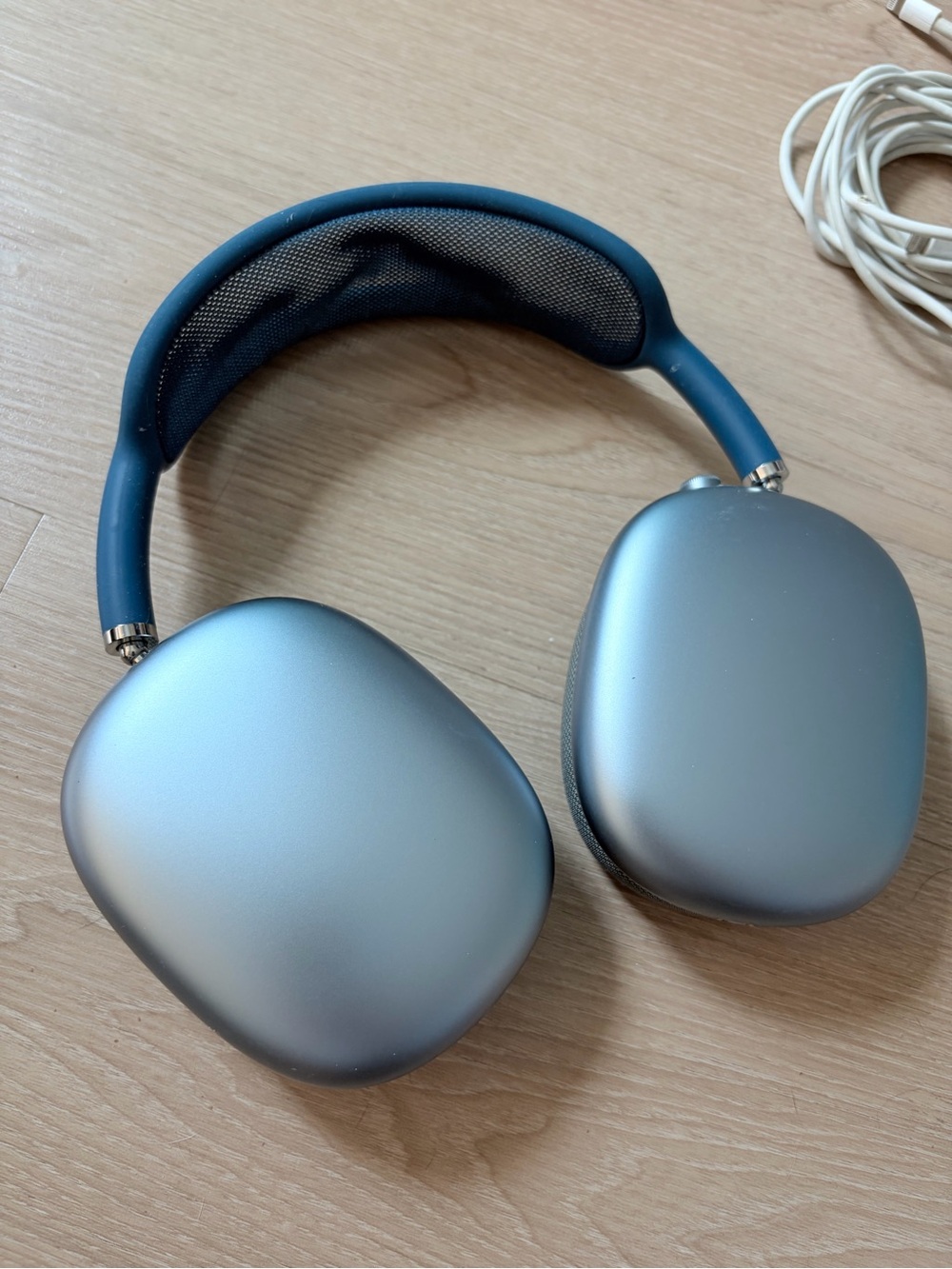 Apple AirPods Max Over-Ear Headphones - Silver and Blue